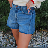 Daisey Flare Shorts