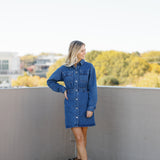 Denim Dream Mini Dress